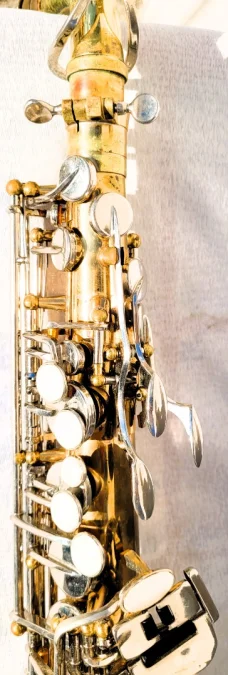 Saxophone Sakura avec sa valise