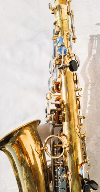 Saxophone Sakura avec sa valise