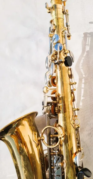 Saxophone Sakura avec sa valise