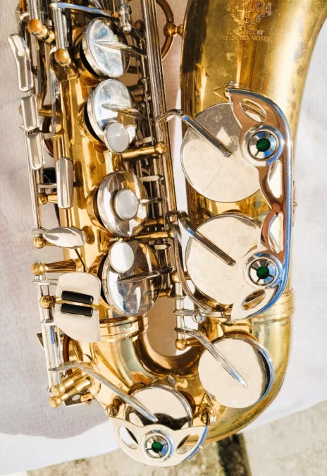 Saxophone Sakura avec sa valise