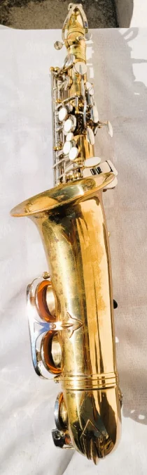 Saxophone Sakura avec sa valise