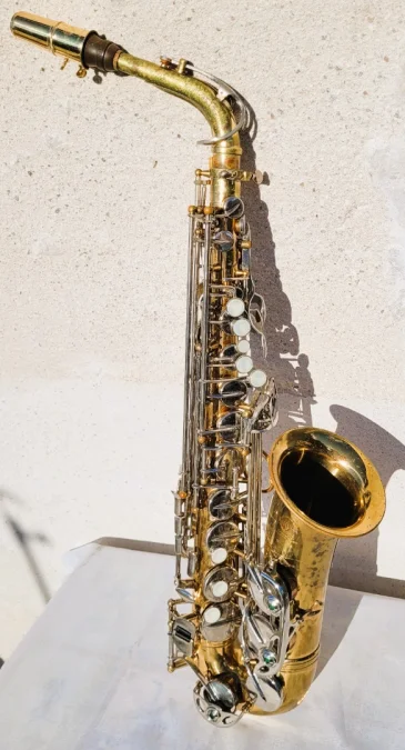 Saxophone Sakura avec sa valise