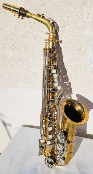 Saxophone Sakura avec sa valise