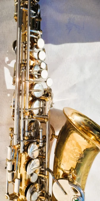 Saxophone Sakura avec sa valise