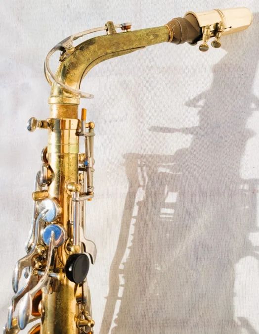 Saxophone Sakura avec sa valise
