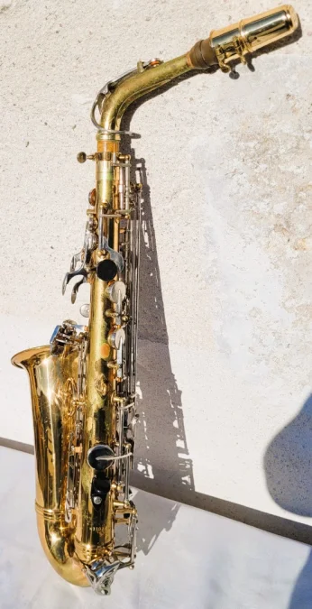 Saxophone Sakura avec sa valise
