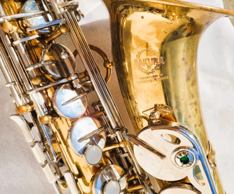 Saxophone Sakura avec sa valise