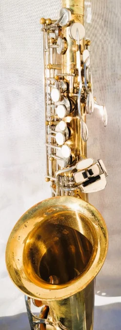 Saxophone Sakura avec sa valise