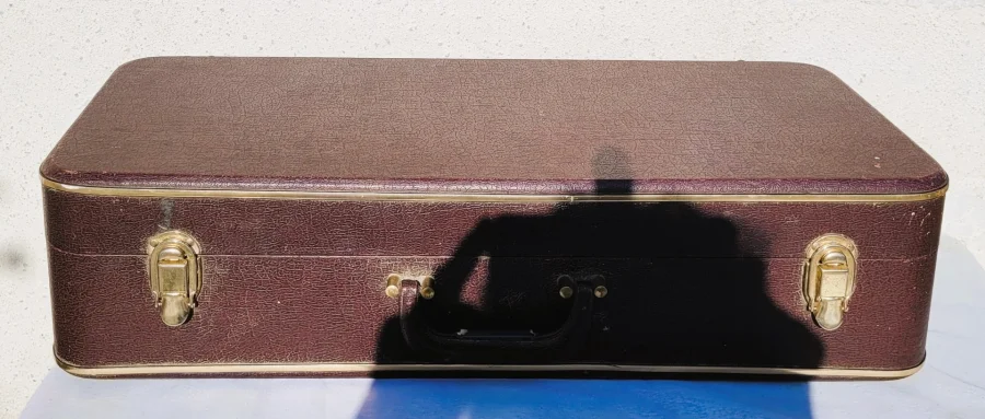 Saxophone Sakura avec sa valise
