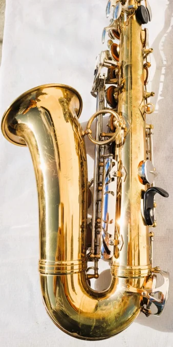 Saxophone Sakura avec sa valise