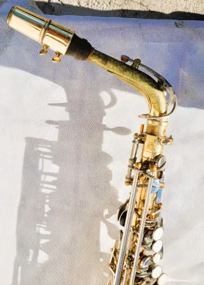Saxophone Sakura avec sa valise