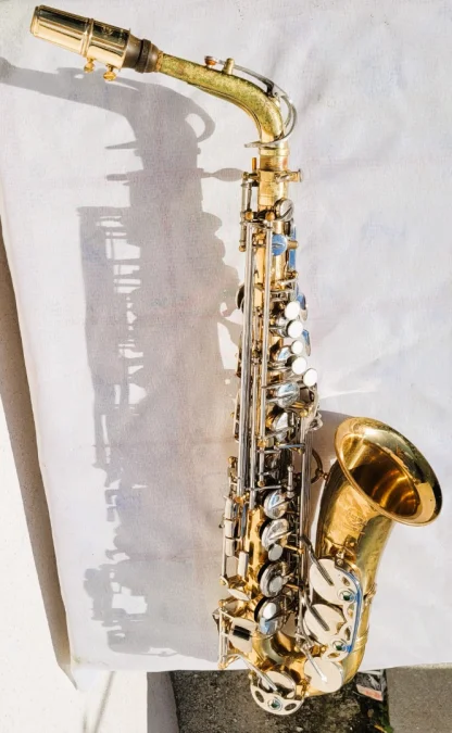 Saxophone Sakura avec sa valise