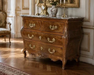 CASSETTIERA DEL PERIODO DELLA REGIONE FRANCESE