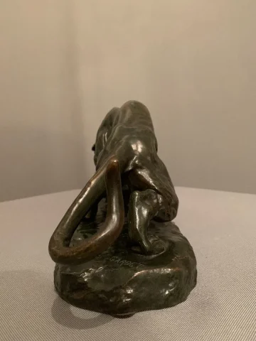 Bronze  « Le Tigre et la Tortue »-  Georges GARDET (1863-1939)