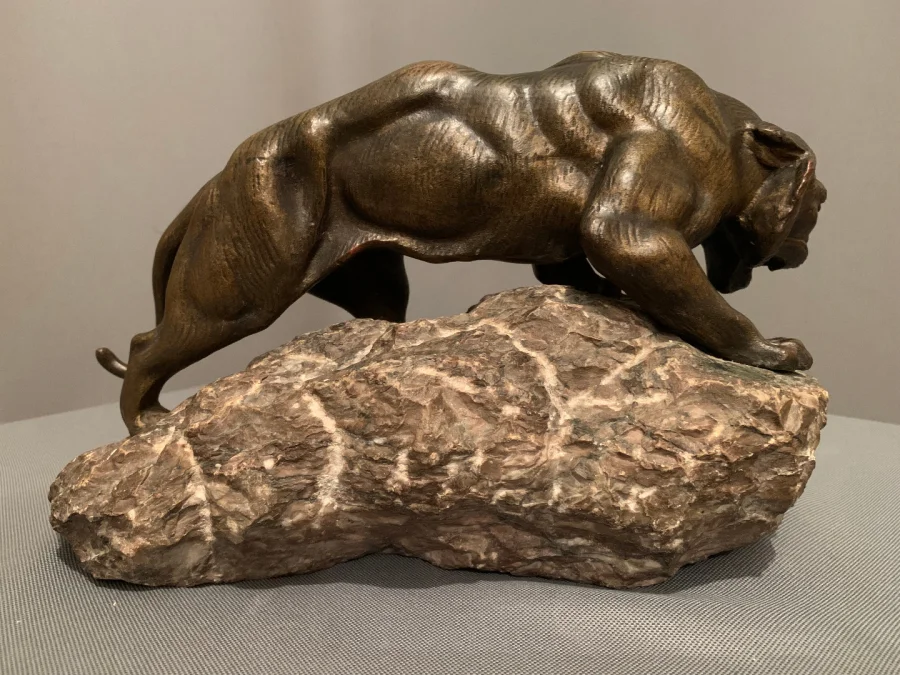 Tigre En Bronze De « James ANDREY » (XIXéme-XXéme siècle)
