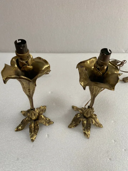 1900′ Pair Of Bronze Flower Lamps