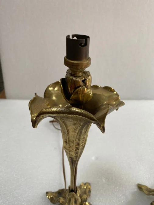 1900′ Pair Of Bronze Flower Lamps