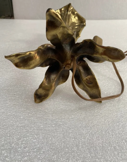 1900′ Pair Of Bronze Flower Lamps