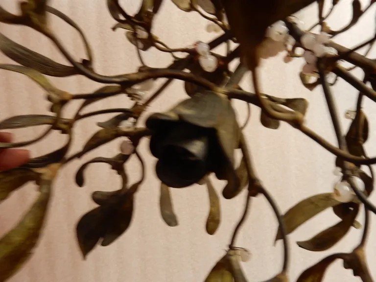 1900′ Art Nouveau Bronze Mistletoe Ball Chandelier with 3 Lamps Diameter 45 cm Sockets In the Shape of Tulips