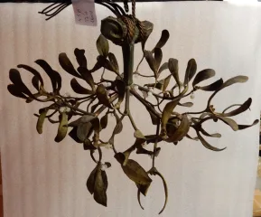 1900′ Art Nouveau Bronze Mistletoe Ball Chandelier with 3 Lamps Diameter 45 cm Sockets In the Shape of Tulips