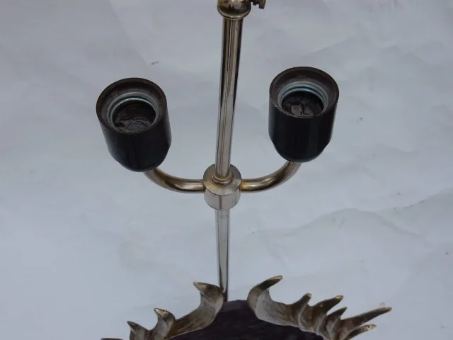 1970′ Lotus Decor Lamp, Silver Bronze, Shagreen, Agate, Duval Brasseur Unsigned