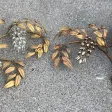 1970s Pair of Wall Sconces or Similar to 'Four Wisterias,' 130 x 80 cm, Hans Kögl