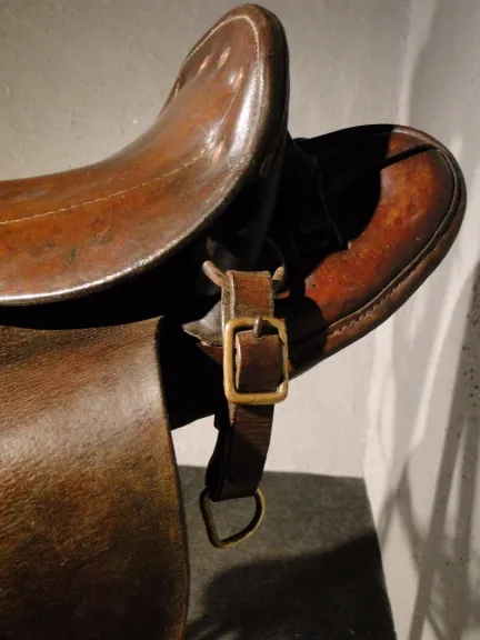 Selle de cheval