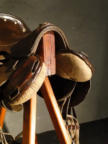 Selle de cheval