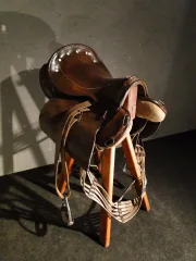 Selle de cheval