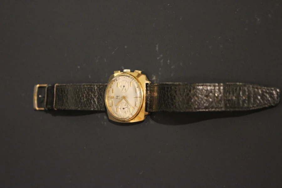 LIP WATCH