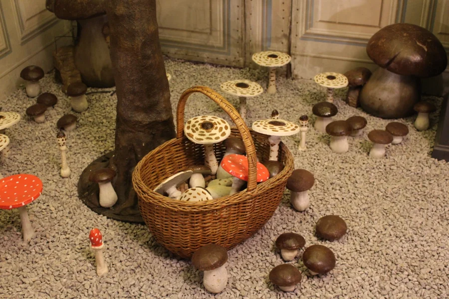 Champignons en ciment peint