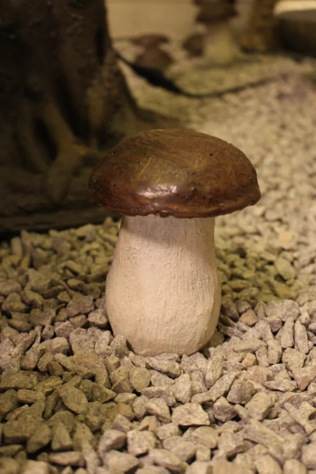 Champignons en ciment peint