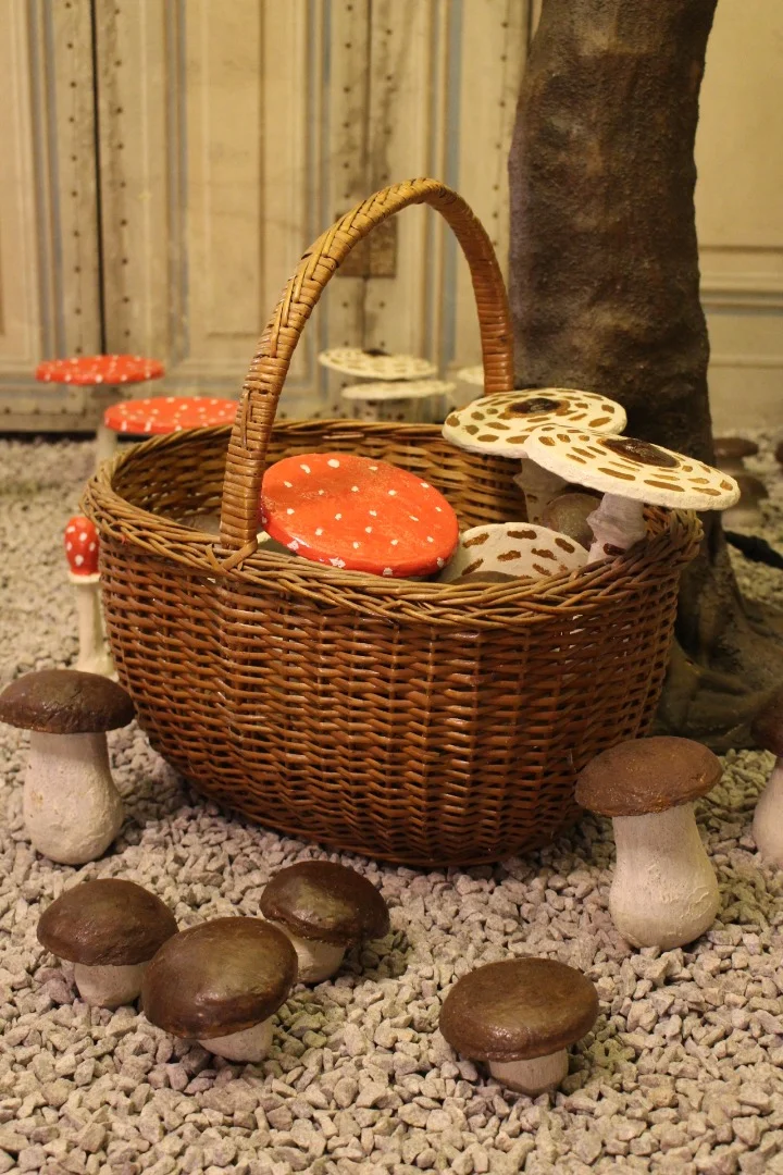 SETAS DE CEMENTO