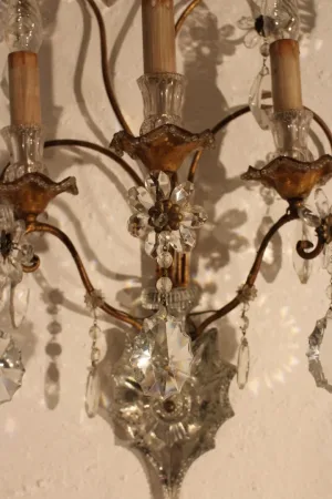 Paire d’appliques de la maison BAGUES