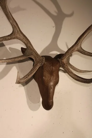 Tête de cerf en bois