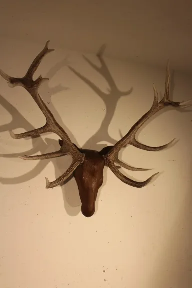 Tête de cerf en bois