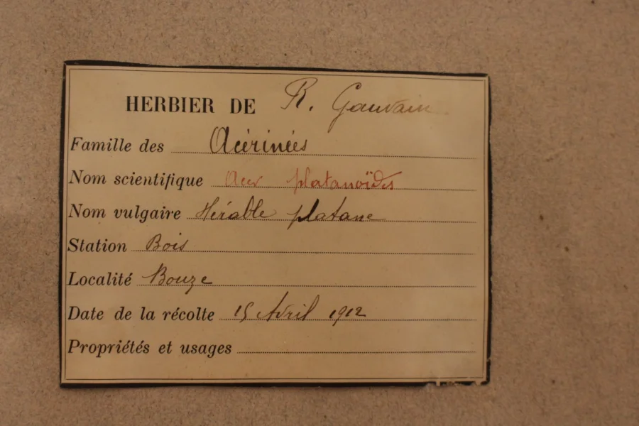 Ensemble d'herbiers