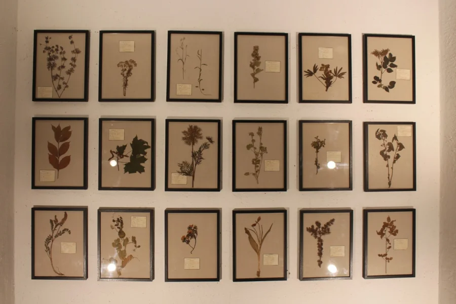 Ensemble d'herbiers