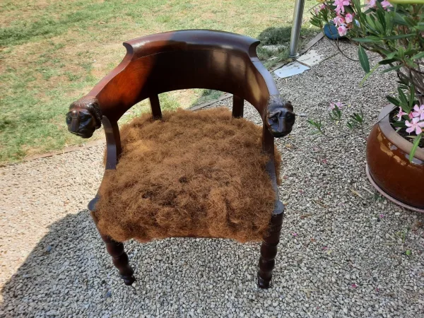 Fauteuil de bureau à têtes de lion