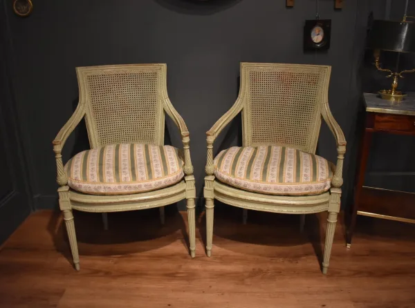 Paar Sessel im Directoire-Stil