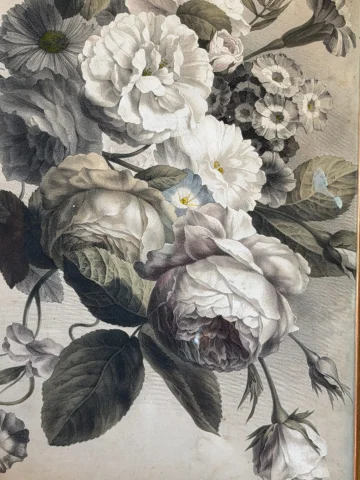 植物花卉，Bernard-Romain Julien 石版画 — 良好