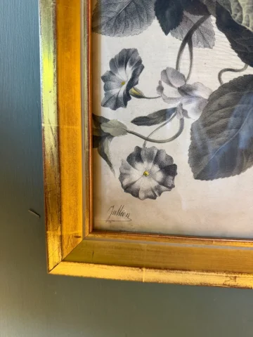 植物花卉，Bernard-Romain Julien 石版画 — 良好