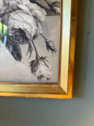 植物花卉，Bernard-Romain Julien 石版画 — 良好