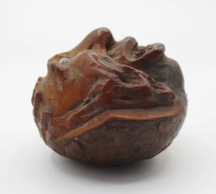 Marron d'Inde sculpté, XIXe siècle.