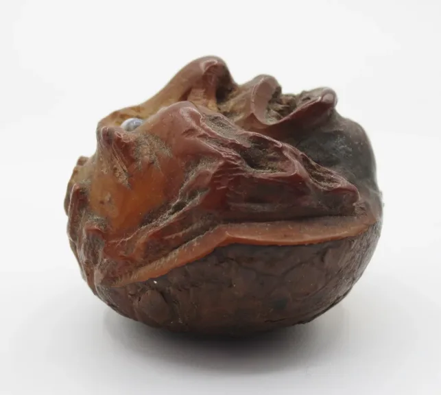 Marron d'Inde sculpté, XIXe siècle.