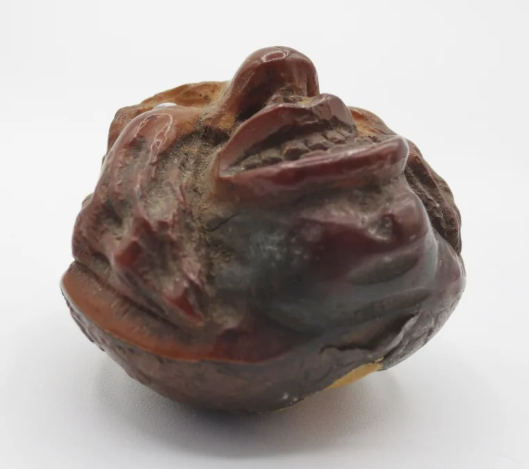 Marron d'Inde sculpté, XIXe siècle.