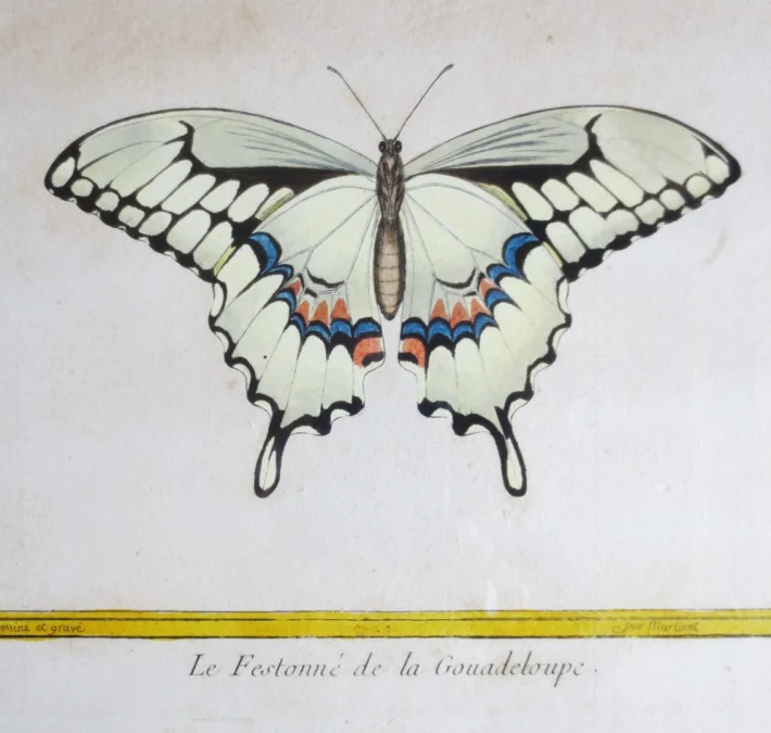Paire de gravure de Martinet, XVIIIe siècle.