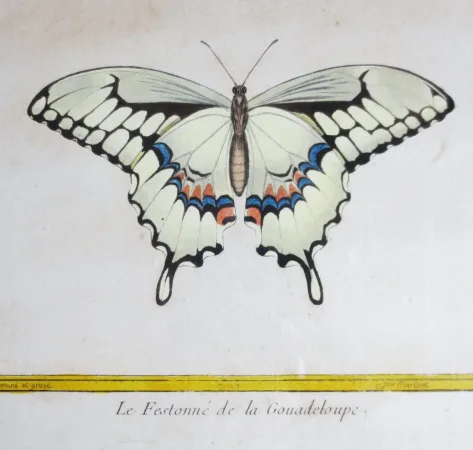 Paire de gravure de Martinet, XVIIIe siècle.