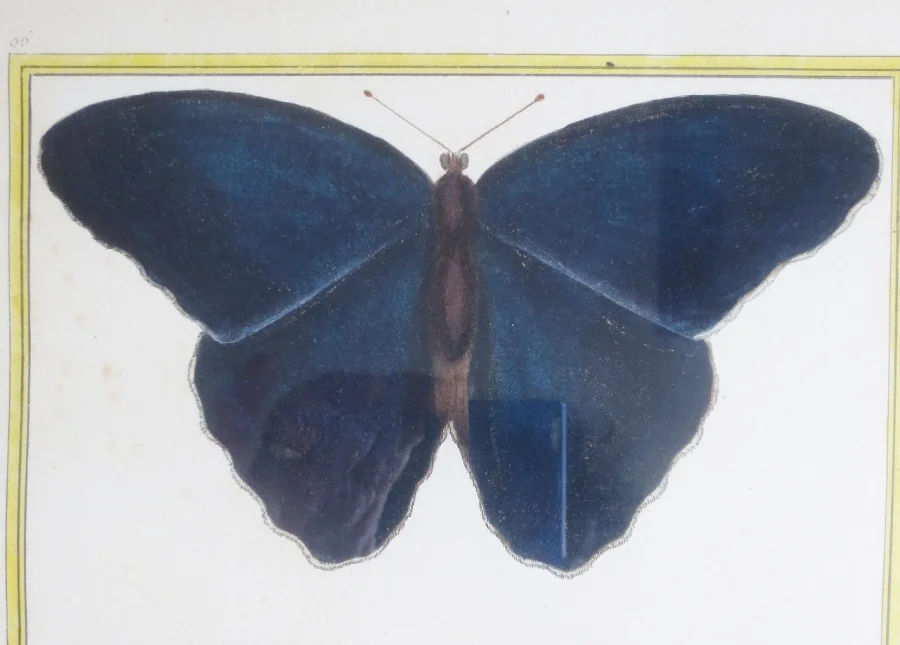 Paire de gravure de Martinet, XVIIIe siècle.