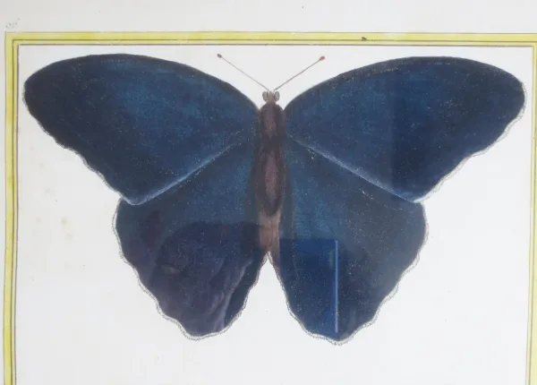 Paire de gravure de Martinet, XVIIIe siècle.